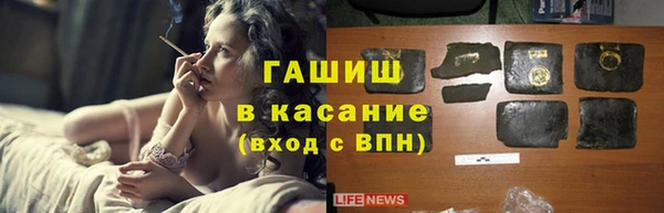 ПСИЛОЦИБИНОВЫЕ ГРИБЫ Абаза