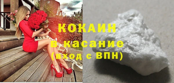 ПСИЛОЦИБИНОВЫЕ ГРИБЫ Абаза