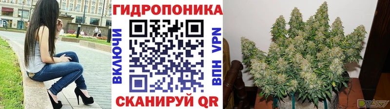 где купить наркотик  Вытегра  Бошки марихуана конопля 